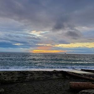 Meet your Posher, Tamara